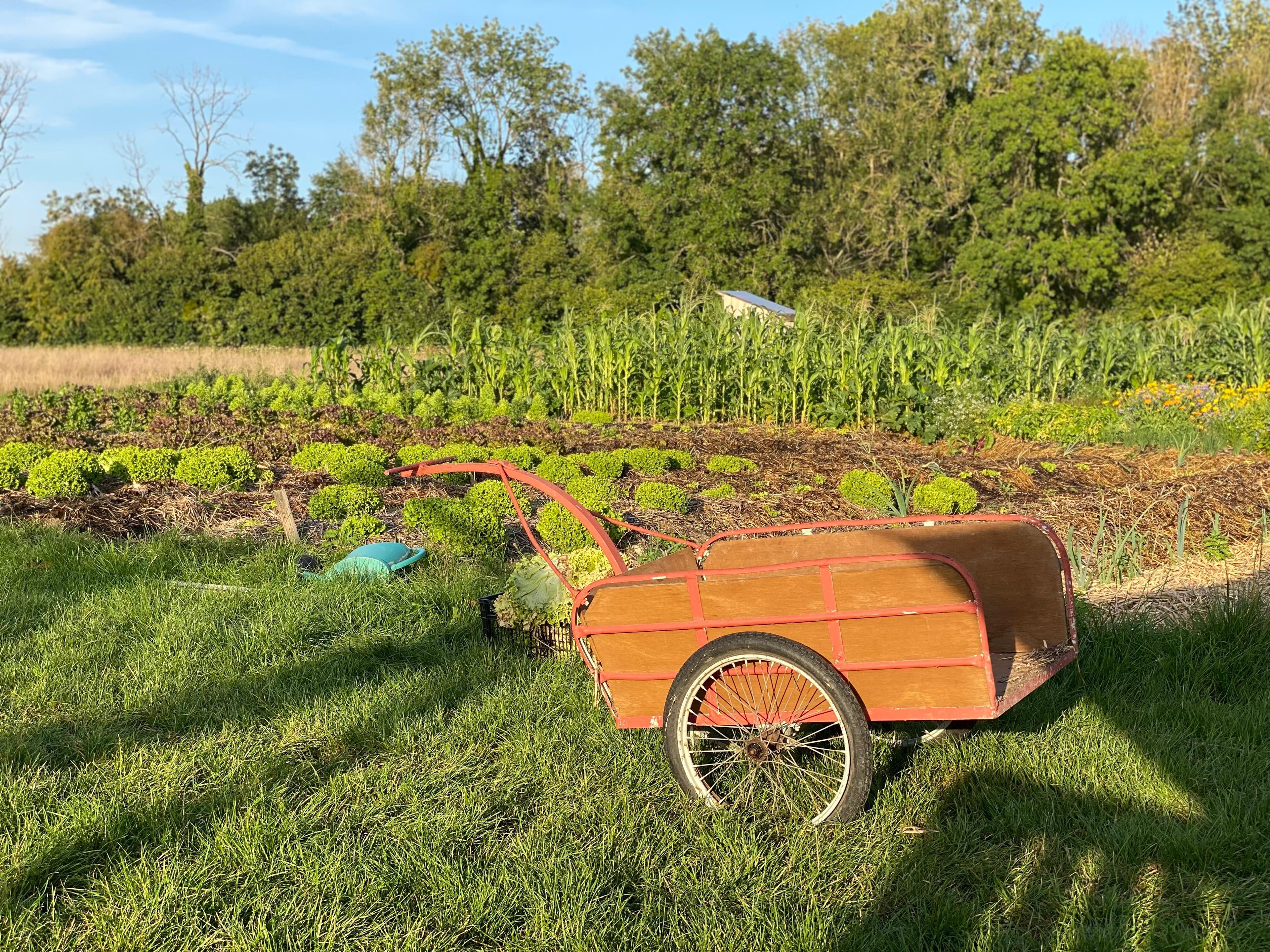 Méthode PEBI - Mandala permaculture