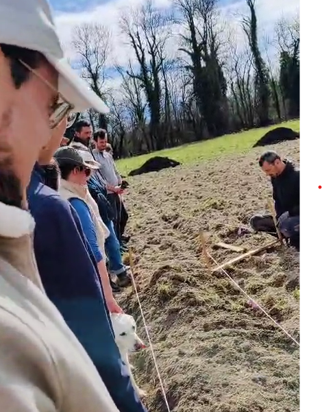 Capture d'écran 2025-10-02 184856