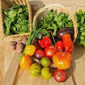 Panier d'été